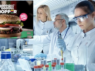 impossible whopper, horse, fake