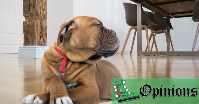I May Be Your Service Animal, but That Doesn’t Mean I Have to Like You