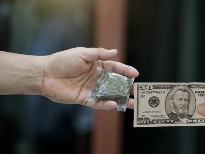 fifty, weed, birthday, grandma