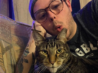 cat, cute, clean, edge, straight edge, healthy