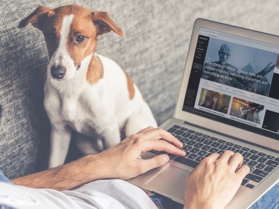 Myspace, dog, computer, man