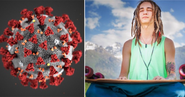 I Will Take Enough Shrooms to Reason With Coronavirus