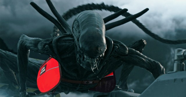 Everyone on Space Flight Murdered by Man’s Emotional Support Xenomorph