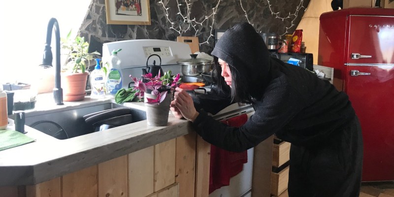 houseplants, acid, quarantine