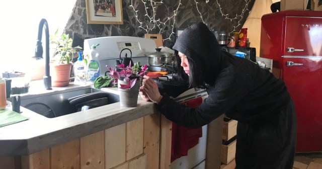 Woman Braces for 30 More Days of Battling Coronavirus by Eating Acid, Staring at Houseplants