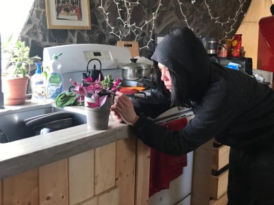 houseplants, acid, quarantine