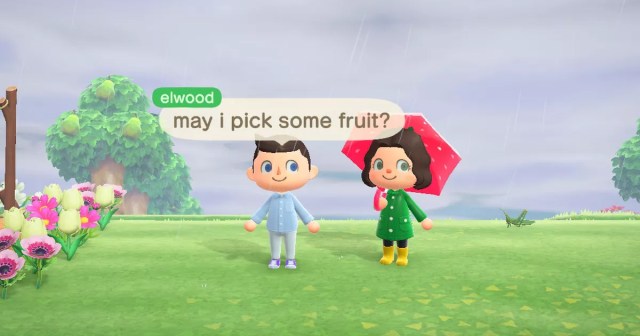 Fans Disappointed to Discover It Was Actually Daniel Radcliffe Who Visited That Girl’s Animal Crossing Island