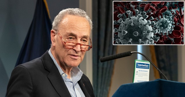 Moderate Democrats Suggest Working with Coronavirus to Find Common Ground