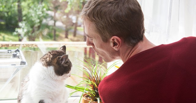 STUDY: Cat’s Real Voice Sounds Nothing Like Voice You Do for Her