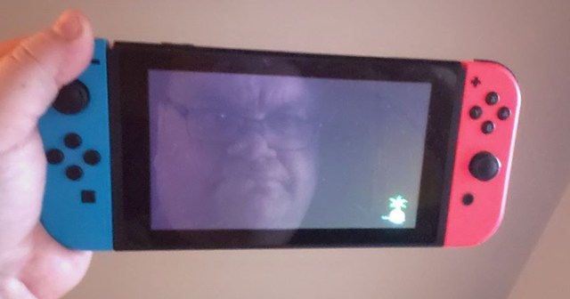 Man Sets Unrealistic Fitness Goal of Looking Good in Switch Screen Reflection