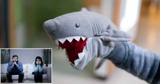 This Quarantined Couple Made a Sock Puppet Version of Jaws Instead of Acknowledging Issues With Their Relationship