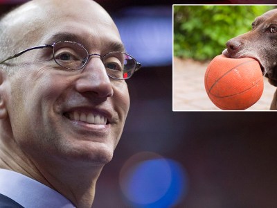 dogs, nba, rules, rule book, sports