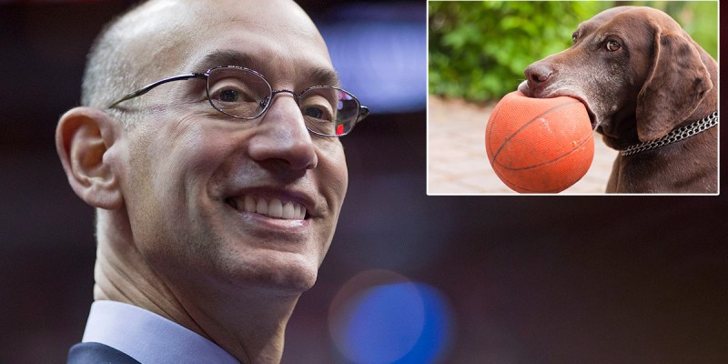 dogs, nba, rules, rule book, sports