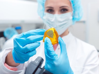 resurrect, dead, scene, guitarist, dinosaur