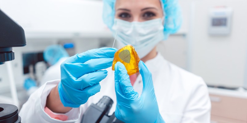 resurrect, dead, scene, guitarist, dinosaur