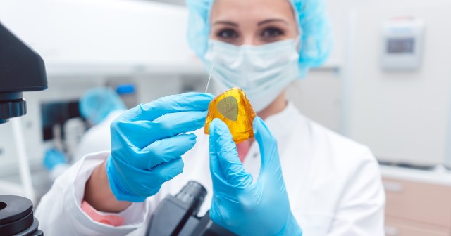Scientists Resurrect Dead Scene Using DNA from Guitarist Preserved in Amber