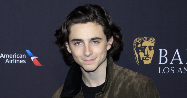 Study Confirms Timothée Chalamet Can’t Even Sweep Pick So, Like, Why Is My Girlfriend Obsessed With Him???