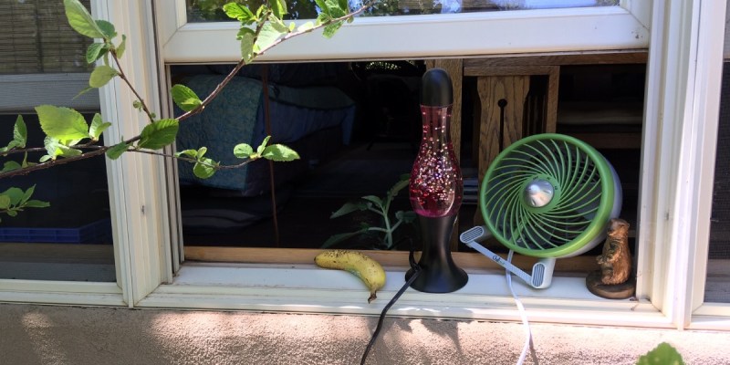 untucked, household, quarantine