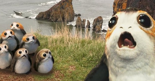 ‘Abrams Cut’ of The Last Jedi Spends Extra 30 Minutes Revealing Who Every Porgs’ Dad Is