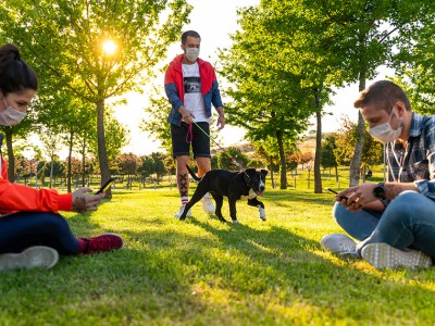 quarantine, band, bassist