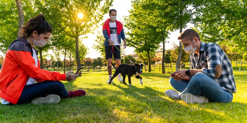 quarantine, band, bassist