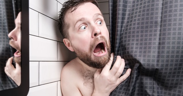 Where Are They Now: The Huge Spider I Just Saw in My Shower