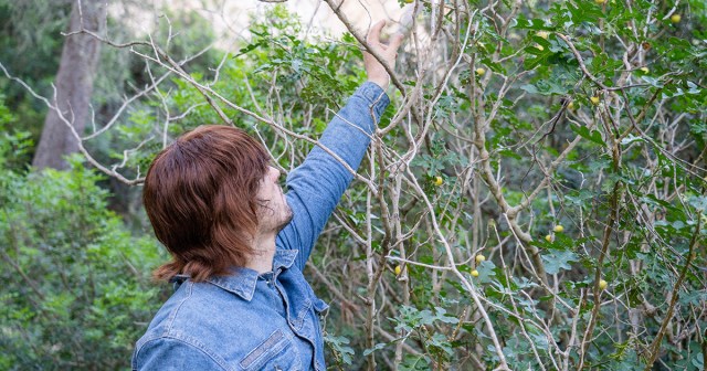 Poison Berries Only Vegan Option on Camping Trip