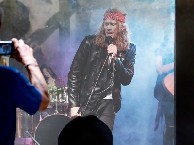 grunge, band, capture, zoo, display, endangered