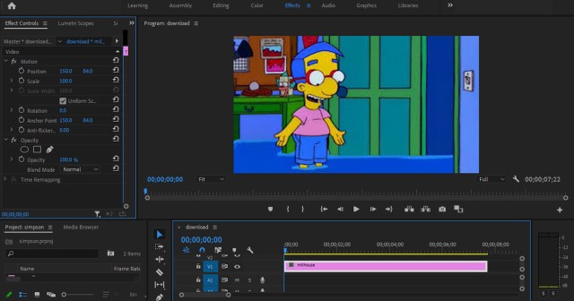 $300 Editing Software Purchased to Make Simpsons Shitposts