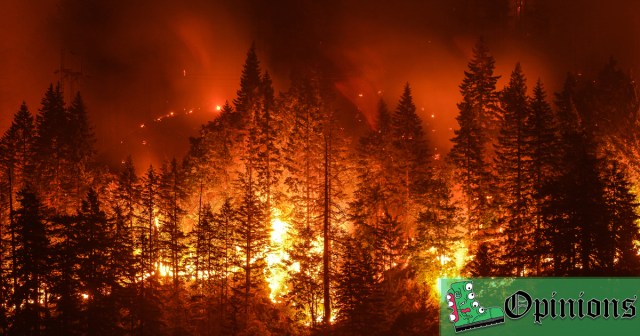 Opinion: We Should Reform, Not Abolish, the Forest Fires