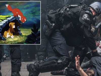fox and the hound, riot, cop, riot gear, tear gas, violence, hurt