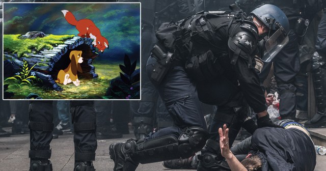 The Next Fox and The Hound? This Riot Cop is Beating Up His Childhood Best Friend