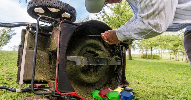 Dad Getting Tired of Cleaning Rupees Out of Lawnmower