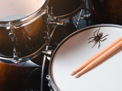 spider, huge, arachnid, scary, bug, drums, kit