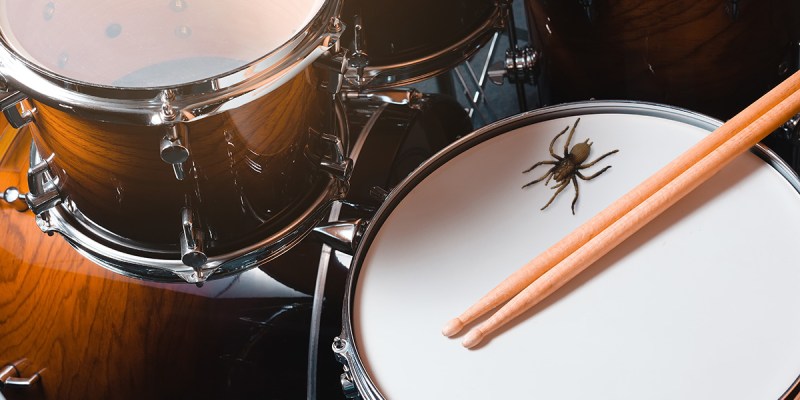 spider, huge, arachnid, scary, bug, drums, kit