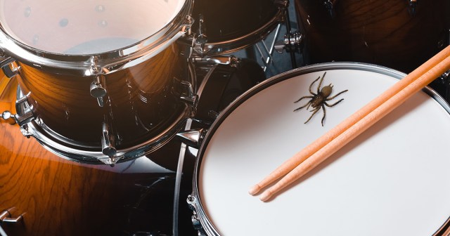 Report: Drum Kit Belongs to That Huge Spider Now