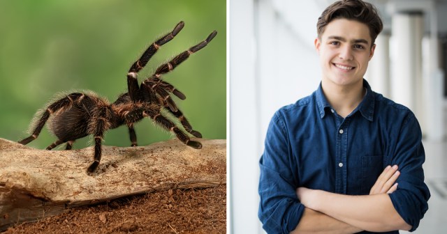 Sony Acquires Exclusive Rights to All Spiders and Men, Just to Be Safe