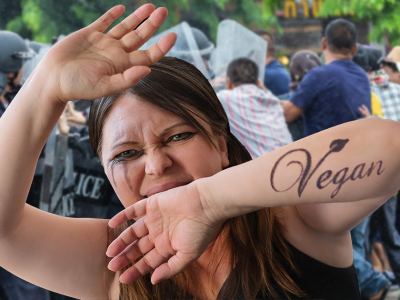 vegan, protester, milk, decline