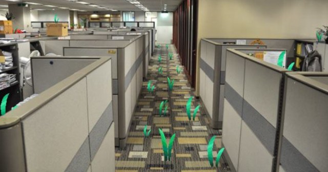 Employees Returning to Work for First Time in Months Discover Office Overrun by Weeds
