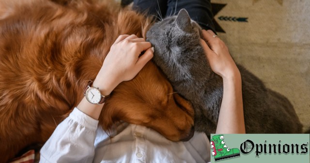Opinion: You’re Either a Cat Person or a Dog Person or a Normal Fucking Person Who Likes Both