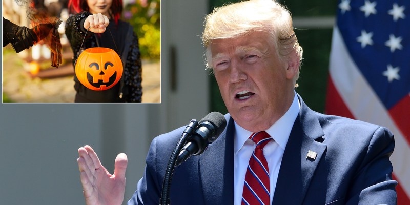 halloween, candy, voter, fraud, trump, orange, pumpkin, costume, cute