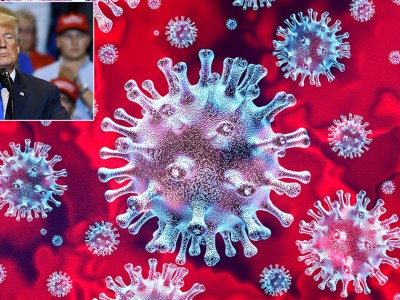 trump, coronavirus, covid-19