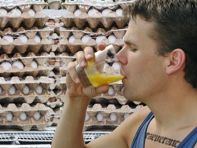 cartons, gross, drink, yolk, white, eggs, egg white, 3000 eggs, delicious