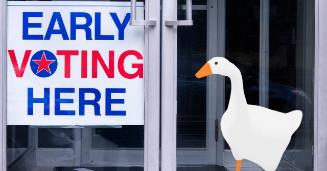Horrible Goose Caught Scaring Voters Away From Early Voting Site