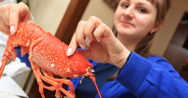 We Visited the Wrong Portland but Now We Know How To Shell a Lobster