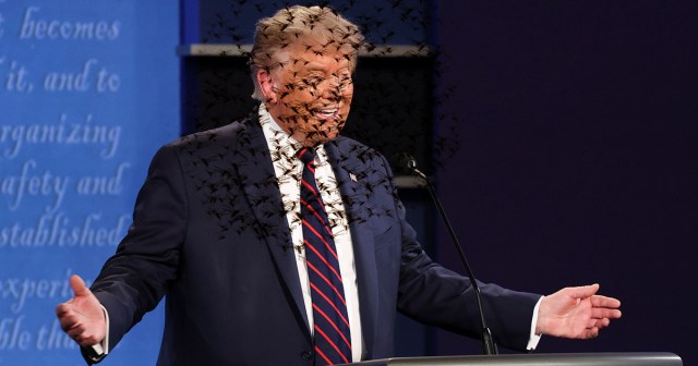 Swarm of Locusts Land on Trump’s Head For Two Whole Minutes During Debate