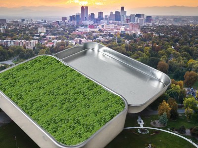 colorado, weed, hide, tin, altoids, pot, illegal, city, police, 500 tons, kamala harris