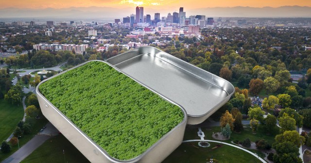 Colorado Hides 500 Tons of Pot in Giant Altoids Tin Before Kamala Harris Visit