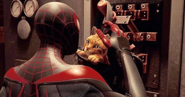 ‘Spider-Man’ Will Feature Complex Cat Companion System That Ranges From ‘Enemies’ to ‘Doesn’t Hate You’