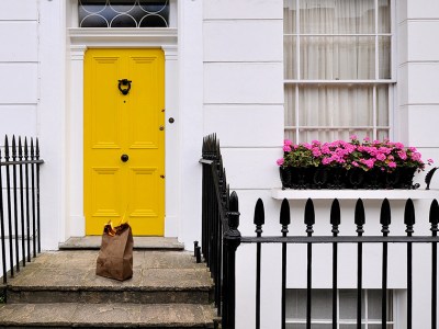 chicken, bag, brown, flaming, door, yellow, cool, fence, spike, flowers, pink, white
